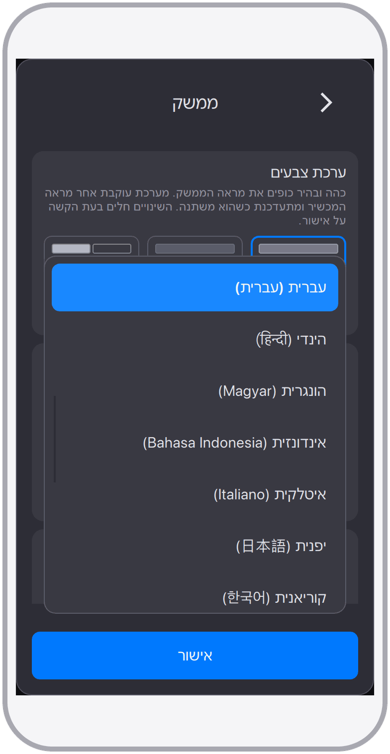 תמיכה רב-לשונית